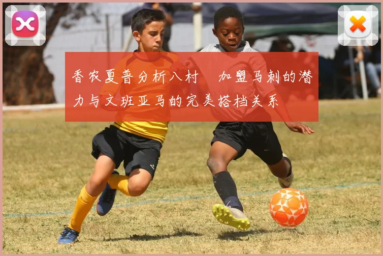 香农夏普分析八村塁加盟马刺的潜力与文班亚马的完美搭档关系