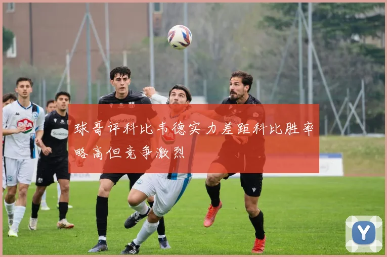 球哥评科比韦德实力差距科比胜率略高但竞争激烈