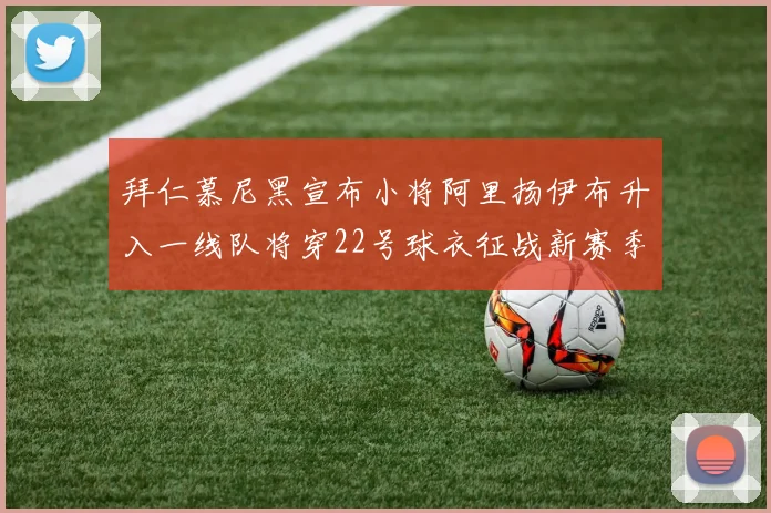 拜仁慕尼黑宣布小将阿里扬伊布升入一线队将穿22号球衣征战新赛季